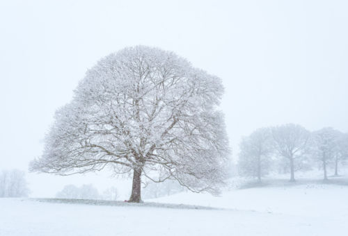 Lake District National Park, Foto por Click and Learn Photography en Unsplash