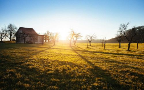 Campo soleado. Foto por Philipp Reiner en Unsplash