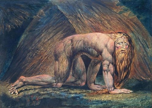 Nebuchadnezzar. Por William Blake