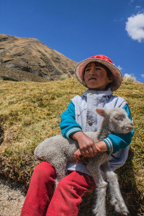 Niño andino. Foto por Catherine A G M en Unsplash