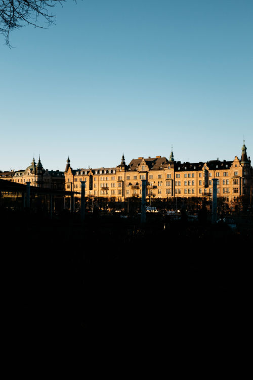 Strandvägen. Foto por Fredrik Öhlander en Unsplash