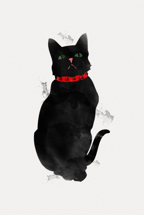 Gato negro. Por Karen Arnold