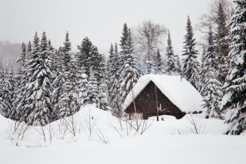 Invierno en Siberia. Foto por Klara Kulikova en Unsplash