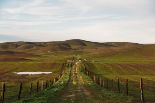 Camino rural. Foto por Nathan Dumlao en Unsplash