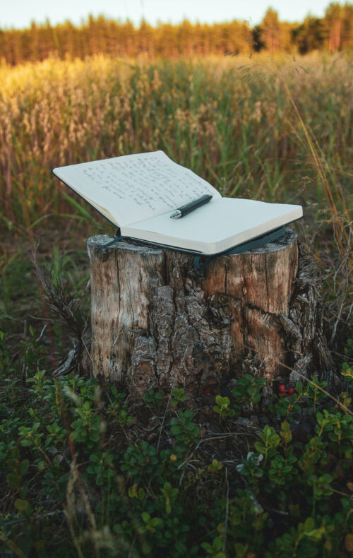 Libro blanco. Foto por Nick Brookenheimer en Unsplash